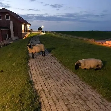 Beletage Apartamento Varel